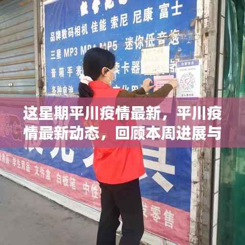 本周平川疫情最新动态回顾,进展与影响概览