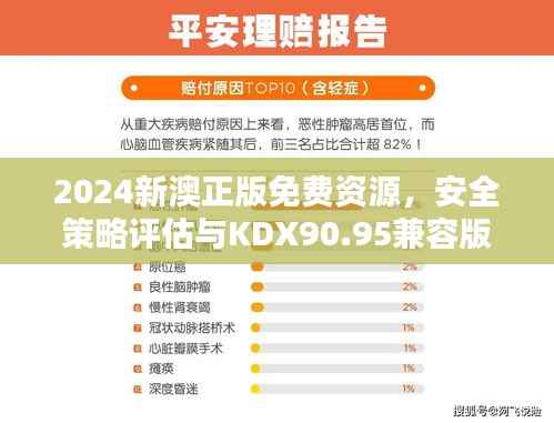 2024新澳正版免费资源,安全策略评估与KDX90.95兼容版