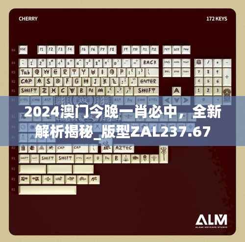 2024澳门今晚一肖必中,全新解析揭秘_版型ZAL237.67