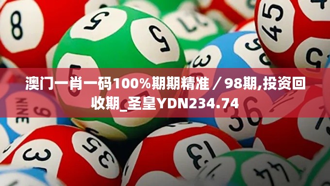 澳门一肖一码100%期期精准/98期,投资回收期_圣皇YDN234.74