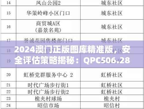 2024澳门正版图库精准版,安全评估策略揭秘:QPC506.28解密