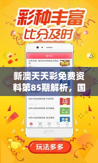 新澳天天彩免费资料第85期解析,国际版NBI369.71数据解读