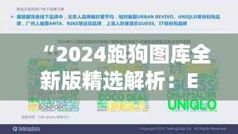 “2024跑狗图库全新版精选解析:EVS651.62魔力版必看”