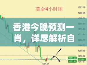 shibigongqing 第6页