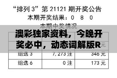 澳彩独家资料,今晚开奖必中,动态词解版RKG634.07