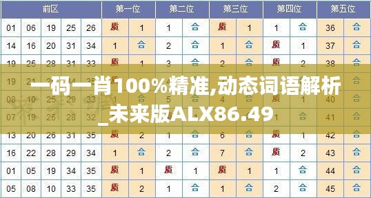 一码一肖100%精准,动态词语解析_未来版ALX86.49