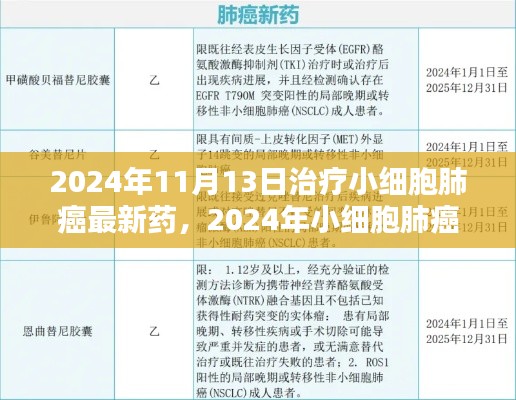 2024年小细胞肺癌治疗新药全面解析与用户体验,最新药物评测及疗效展望