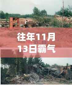 揭秘霸气村崛起背后的故事与影响,往年11月13日的崛起之路探索