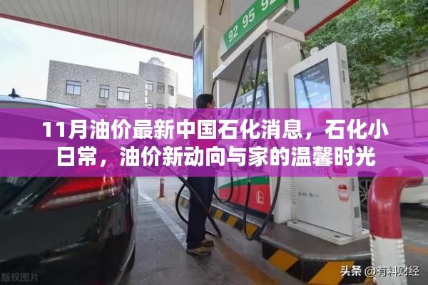 中国石化油价最新动态,日常石化生活与油价新动向的温馨时光