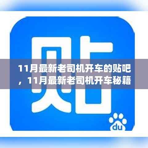 揭秘!11月最新老司机开车秘籍,贴吧驾驶技巧大解密!