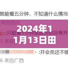 田雨最新网剧心之彼岸,跨越时空的深情探索之旅(2024年11月13日)