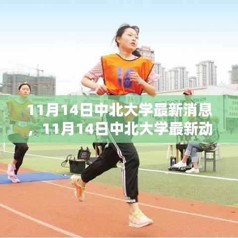 11月14日中北大学最新消息与动态速递,校园热点一览