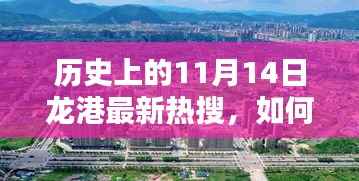 11月14日龙港热搜揭秘,历史挖掘与了解指南——初学者到进阶用户的必备参考