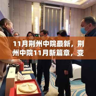 荆州中院11月新篇章,变化中的力量与自信成就之路