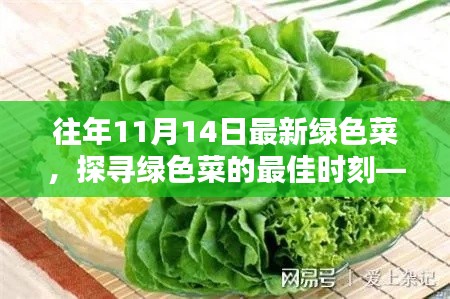 探寻绿色菜的最佳时刻,以往年11月14日为例的蔬菜盛宴