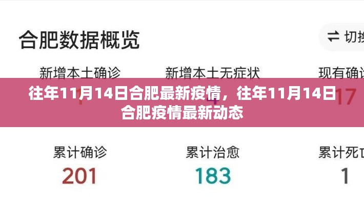 往年11月14日合肥疫情最新动态及防疫情况概述