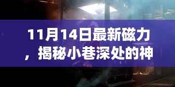 揭秘神秘宝藏,11月14日最新磁力小巷小店探秘之旅