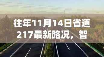 往年11月14日省道217最新路况及智能导航体验报告,科技引领未来出行之路