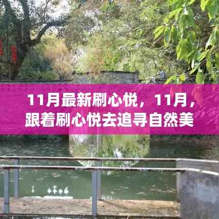 11月心悦之旅,追寻自然美景的诗意之旅