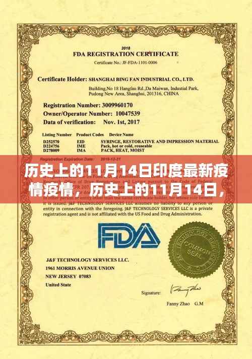 历史上的11月14日印度疫情深度解析,最新疫情状况及影响
