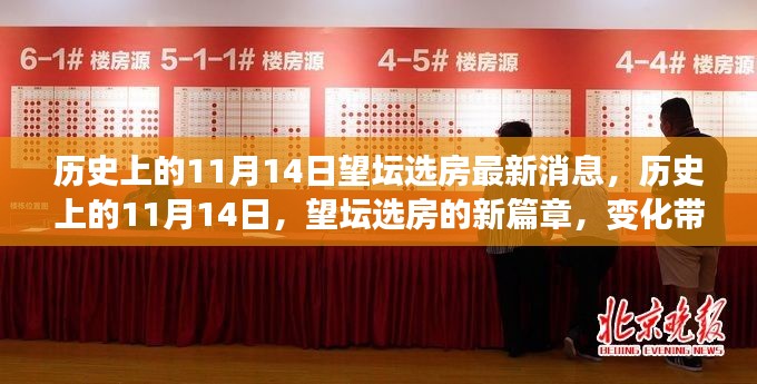 历史上的11月14日,望坛选房新篇章开启,变化成就奇迹之旅的最新消息