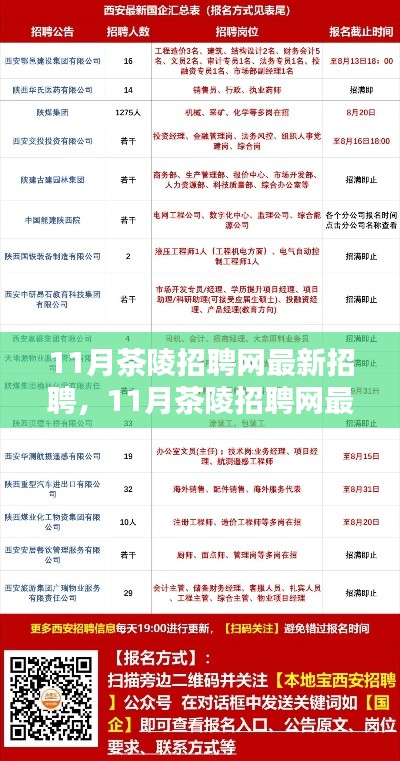 11月茶陵招聘网最新招聘全面解析与求职全攻略