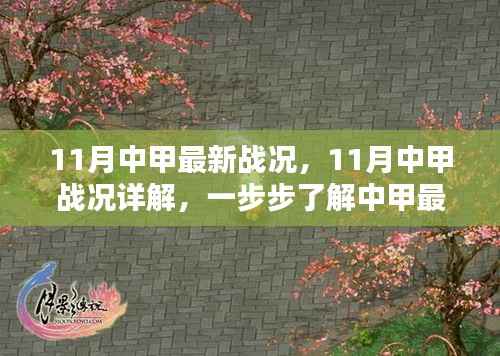 揭秘中甲最新动态,11月战况详解与深度分析