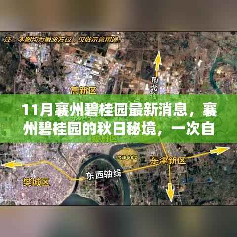 襄州碧桂园秋日秘境,自然美景的心灵之旅最新消息揭秘