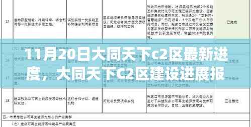 大同天下C2区建设最新进度报告(11月20日更新),细节揭秘与进展解读