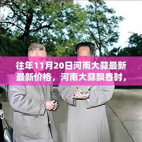 河南大蒜价格更新与一场自然美景的心灵之旅,大蒜飘香时节的探寻