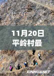 11月20日平岭村最新,11月20日平岭村最新动态,揭示乡村发展的时代脉搏