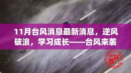台风来袭,逆风破浪,自信闪耀的成长之路