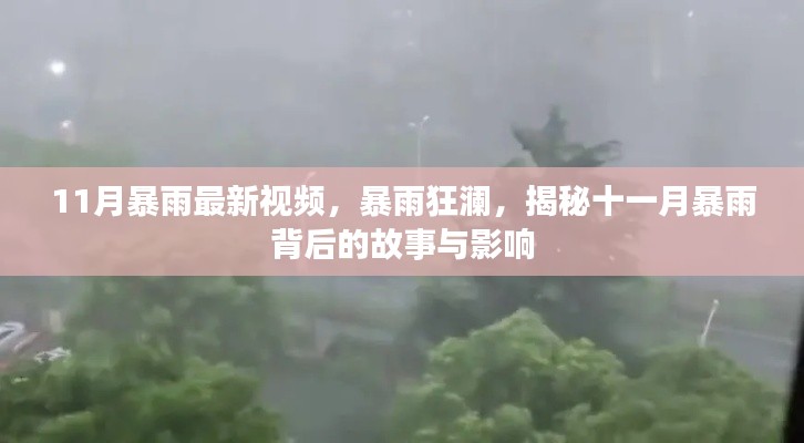 揭秘十一月暴雨背后的故事与影响,暴雨狂澜最新视频报道