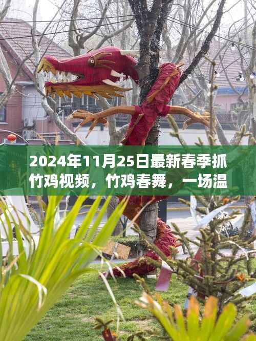 竹鸡春舞,2024年春季抓竹鸡视频,欢乐抓鸡之旅纪实