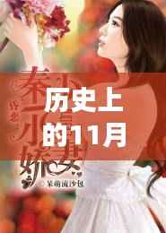 历史上的11月28日，我的娇妻及其深度解读与影响