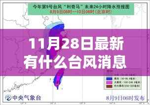 最新台风消息获取指南,如何追踪并应对即将到来的台风(适用于初学者及进阶用户)