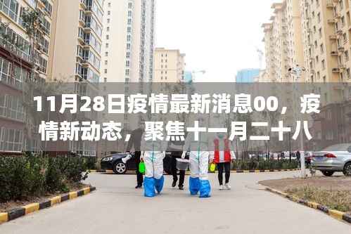 聚焦全球疫情动态,十一月二十八日最新进展与影响分析