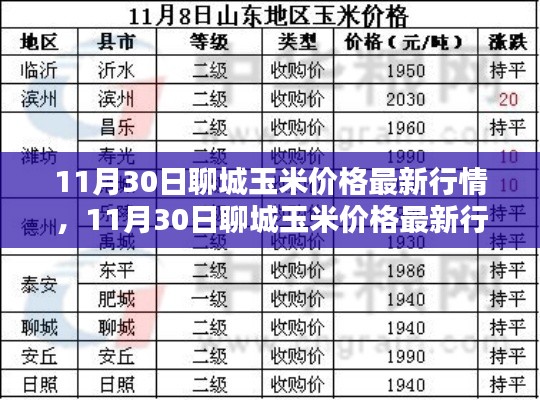 掌握聊城玉米最新行情,解析11月30日玉米价格动态及应对策略