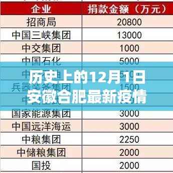 安徽合肥隐秘小巷中的抗疫故事与特色小店的独特魅力——最新疫情回顾与启示(标题)