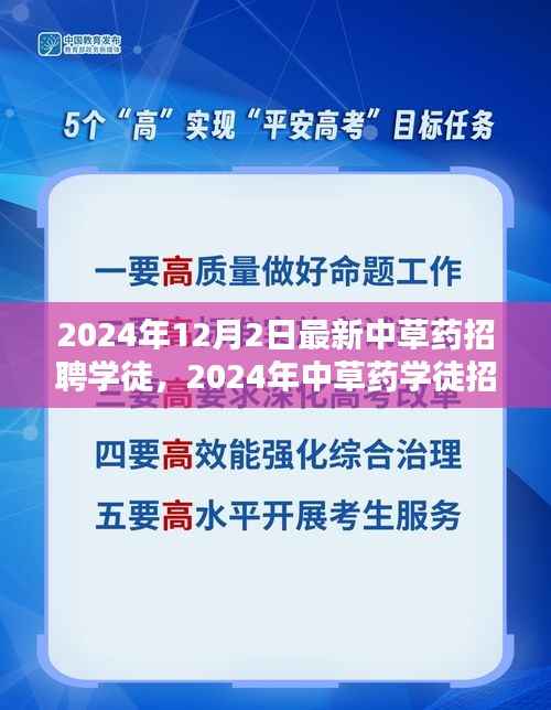 2024年中草药学徒招聘趋势与个人选择深度探讨