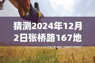 张桥路167地块,温馨日常的预测与小故事的美好展望(2024年12月2日)