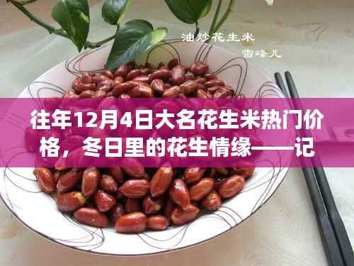 冬日花生情缘,探寻大名花生米热门价格与奇妙之旅