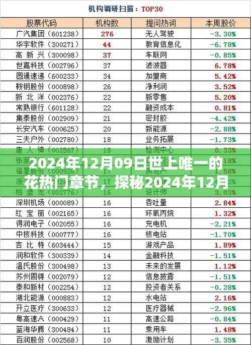 探秘世上唯一的花,揭秘热门章节三大要点(日期,2024年12月09日)