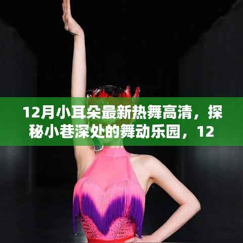 揭秘十二月小耳朵热舞背后的秘密,小巷深处的舞动乐园