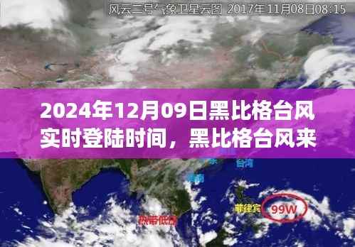 黑比格台风来袭,追寻心灵平静的台风日旅行纪实(实时登陆时间)