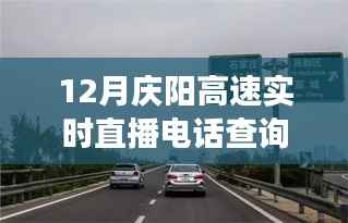 庆阳高速直播电话查询背后的励志故事,驾驭变化,驶向成功