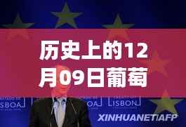 葡萄牙语视频实时翻译之旅,探寻历史与自然美景的艺术心灵之旅