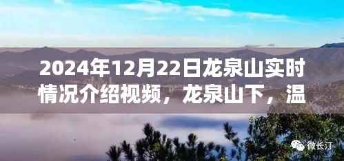 龙泉山实时探访纪实,温馨日常的奇遇与陪伴