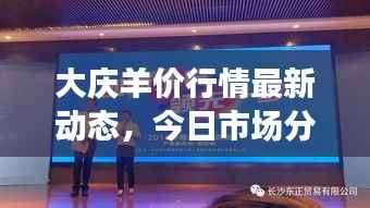 大庆羊价行情最新动态,今日市场分析揭秘