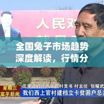 全国兔子市场趋势深度解读,行情分析与展望